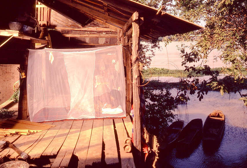 Rectangular Mosquito Net Malaria